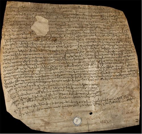 Pergamena 806